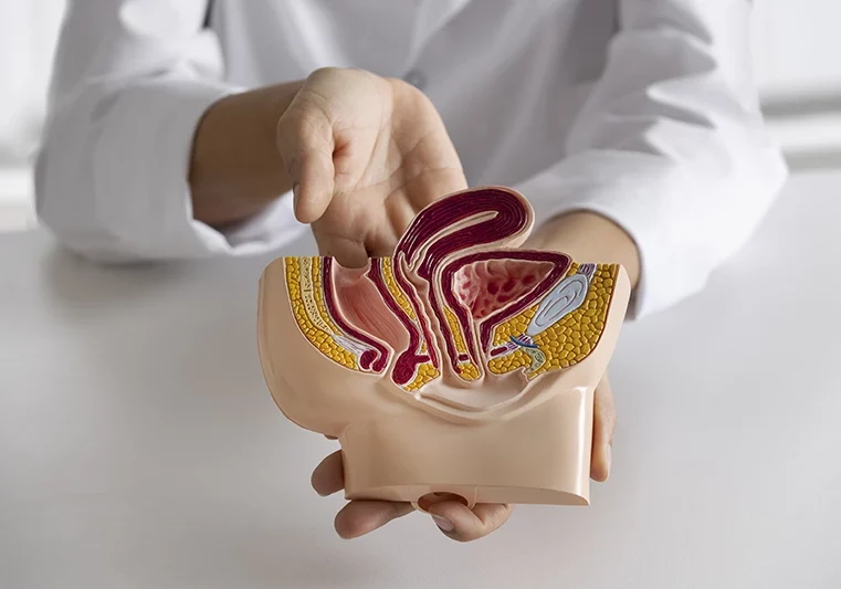 Proktológia Budapesten a Lotusz Medical Centerben.